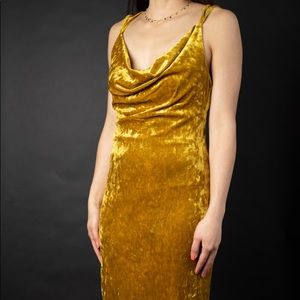 Gold velvet BCBG dress